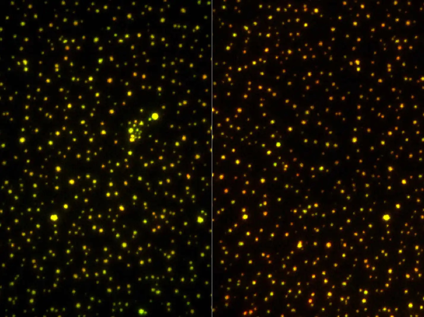 Nikon TIRF & Photo-stimulation Microscopes